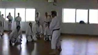 Sensei Nishiyama Seminar 1994 and 1995pt3avi [upl. by Einnig331]