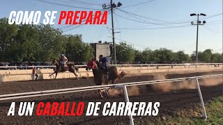 ¡Detrás de Escena en la Preparación de Caballos de Carreras Cuadra Los Milagritos [upl. by Oletha]