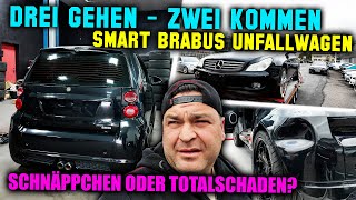 3 Autos gehen 2 Autos kommen  Smart Brabus Unfallwagen  Schnäppchen oder doch Totalschaden [upl. by Aridni]