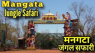 Mangata Jungle Safari Rajnandgaon Chhattisgarh  Manghata  मनगटा वन्यजीव पार्क राजनांदगांव दुर्ग [upl. by Elockin841]