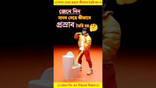 মানব দেহে প্রস্রাব কীভাবে তৈরি হয় facts knowledge [upl. by Acinod768]