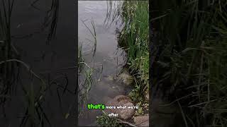 Fishing Next to a WATERFALL 🤯 fishing waterfall fyp viral shorts youtube bass bassfishing [upl. by Jasmin]