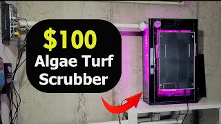 How to Build an Algae Turf Scrubber for 100  Freshwater amp Saltwater Aquariums [upl. by Josephson]