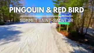 Pingouin amp Red Bird Ski Trail  Sommet SaintSauveur [upl. by Giacomo87]