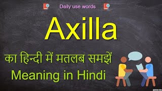 Axilla synonym  Axilla meaning in Hindi  Axilla examples  Axilla [upl. by Ahtennek504]