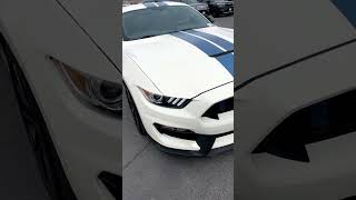 The Only Mustang Worth Buying Shelby GT350 Heritage Edition [upl. by Micheline]