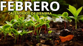 Que SEMBRAR y PLANTAR en FEBRERO …Huerto ➕️ Aromáticas ➕️ Flores  Calendario de Siembra [upl. by Wharton571]