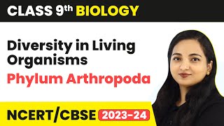 Phylum Arthropoda  Diversity in Living Organisms  Class 9 Biology  202324 [upl. by Wheeler277]