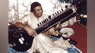 Ustad Imrat KhanSitar  Raag Bageshri amp Gorakh Kalyan Tabla  Pandit Anindo Chatterjee [upl. by Carroll396]