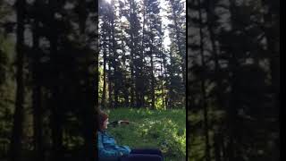 Video of CusterGallatin National Forest Dispersed Camping MT from Ruby W [upl. by Ellenar]