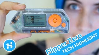 Flipper Zero Intro amp Getting Started  Tech Highlight [upl. by Alexandros]