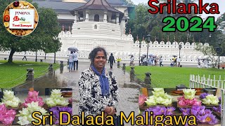 Sri Dalada Maligawa Kandy in Srilanka  Sri Dalada Maligawa in Srilanka Vlog 2024 கண்டி தலதா மாளிகை [upl. by Kent]