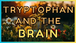 5 Htp ➜ Tryptophan ➜ Benefits ➜ Serotonin deficiency symptoms [upl. by Read616]