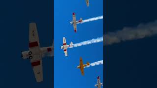 North American Harvards Flypast aviation shortvideo avgeek aircraft airport airshow [upl. by Cochran]