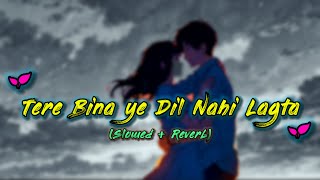 Tere bina ye dil Nahi lagta🥀  slowed and reverb [upl. by Ardnossac]