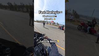 Some Fast Harley’s Drag Racing 🔥 motorcycle bike harleys harley harleydavidson biker racing [upl. by Bridgette400]