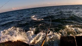 TEXAS TARPON FRENZY at Packery Channel Jetties Corpus Christi Tx [upl. by Wailoo]