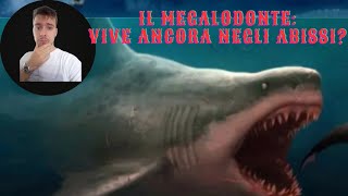 il Megalodonte una lezione tra realtà e fantasia [upl. by Felipe]