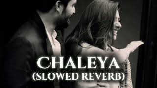 chaleya  slowed reverb [upl. by Dahl]