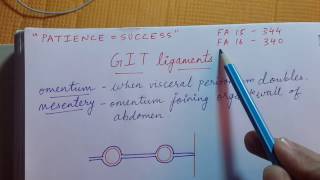 GIT ligaments  Easy explanation for USMLE Step 1 [upl. by Zumstein434]