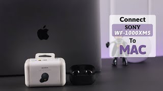 Connect Sony WF1000XM5 Earbuds to Macbook How to Pair [upl. by Notned]