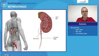 Liomed  Nephrolithiasis  Was sind Nierensteine [upl. by Luz798]