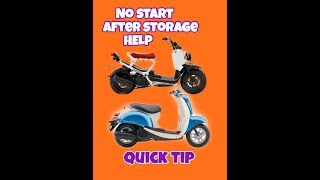 Honda Ruckus  Metro won’t start HELP [upl. by Doownil906]