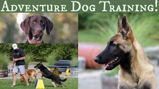 Adventure Dog Training with Stonnie Dennis [upl. by Daile]