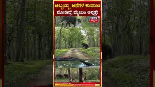 Elephant Fighting Video  ಅಬ್ಬಬ್ಬಾ ಆನೆಗಳ ಕಾದಾಟ ನೋಡಿದ್ರೆ ಮೈಜುಂ ಅನ್ನತ್ತೆ  N18S [upl. by Bolme]