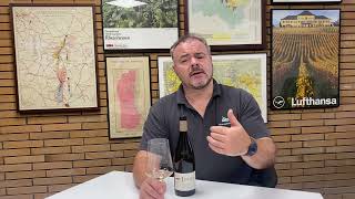 Wine Review Chateau de Lascaux Languedoc Garrigue Blanc 2022 [upl. by Penthea]