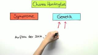 Chorea Huntington  Biologie  Genetik [upl. by Leboff]