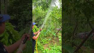 garden hose pipe hose sprayer for landscape irrigation shorts funny flower plants art nature [upl. by Acilejna]