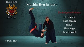 Techniques de Ju jitsu   shio nage kata guruma Kote gaeshi Sumi otoshi Ikkyo Uki otoshi [upl. by Onez]