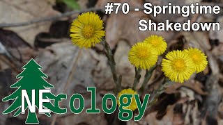 NEcology 70  Springtime Shakedown [upl. by Aiuqram995]