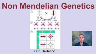 Non Mendelian Genetics [upl. by Mayfield]