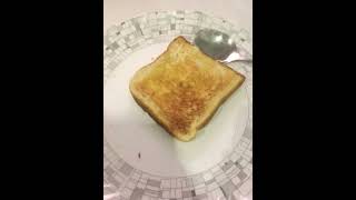 all toasters toast toast [upl. by Lleihsad]