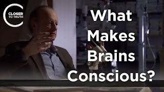 Joseph LeDoux  What Makes Brains Conscious [upl. by Ardehs457]