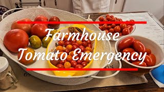 Farmhouse Tomato Emergency [upl. by Naresh]