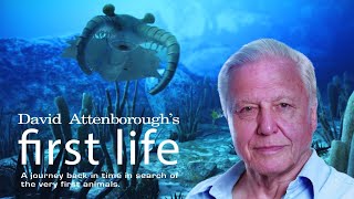 First Life with David Attenborough  Ep 1 Arrival 2010 [upl. by Ydniahs]