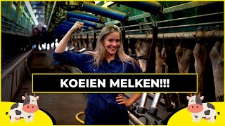 KOEIEN MELKEN met de Boer  Harde Werkers [upl. by Orgell237]