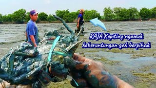 pilih Butiran emas atau setumpuk pasir❗pilih bawa ikan yang mbludag atau pilih yang ringan bawanya❓ [upl. by Ahsatan]