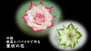 野菜花 葉状の花 根菜とパパイヤ 紹介ミニ動画 [upl. by Ahsratal]