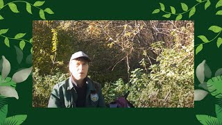 Herfstwandeling bos  bostuin technieken  ecologische moestuin [upl. by Dehnel613]