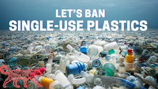 Should the US ban singleuse plastics A sciencebased lecture [upl. by Senilec978]