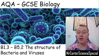 B13  B52  Bacteria and Virus Structure  AQA Biology GCSE 91 [upl. by Hakon10]