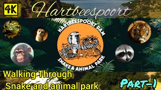 Hartbeespoort Dam Snake and Animal Park in South Africa 4k  Part1 southafrica hartbeesport 4k [upl. by Adnarom]