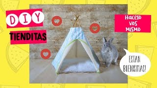 DIY TIENDITAS para tus CONE🐰💛AMO los CONEJOS [upl. by Dunham]