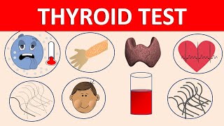 Thyroid function test TFT  Hypo and hyperthyroidism  symptoms amp diagnosis [upl. by Meesaw]