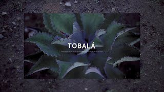 Taste Tobalá  THE LOST EXPLORER MEZCAL [upl. by Dee]