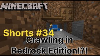 Crawling in Bedrock Edition shorts [upl. by Aneahs612]